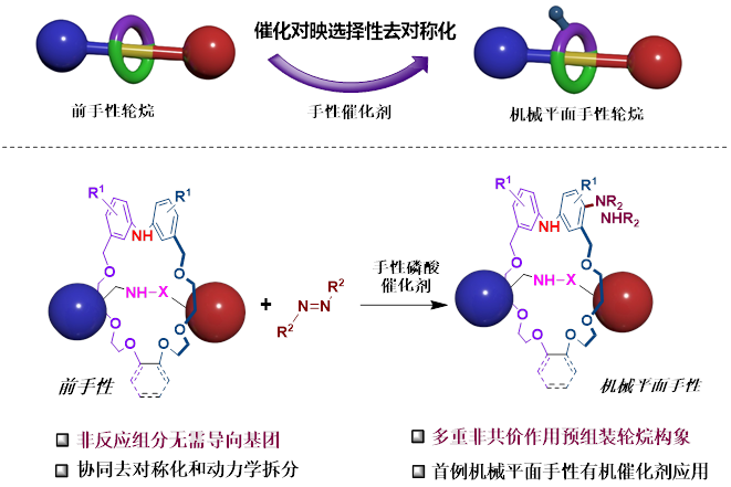 物质学院杨晓瑜课题组实现机械平面手性轮烷的高效不对称合成
